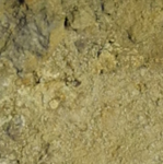 Hallgartener Schönhell - Lößlehm und Mergel über Sand - Pleistozän/Tertiär